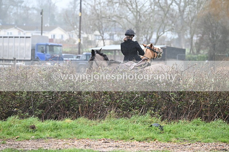 WJ6_6782 - A Camera
