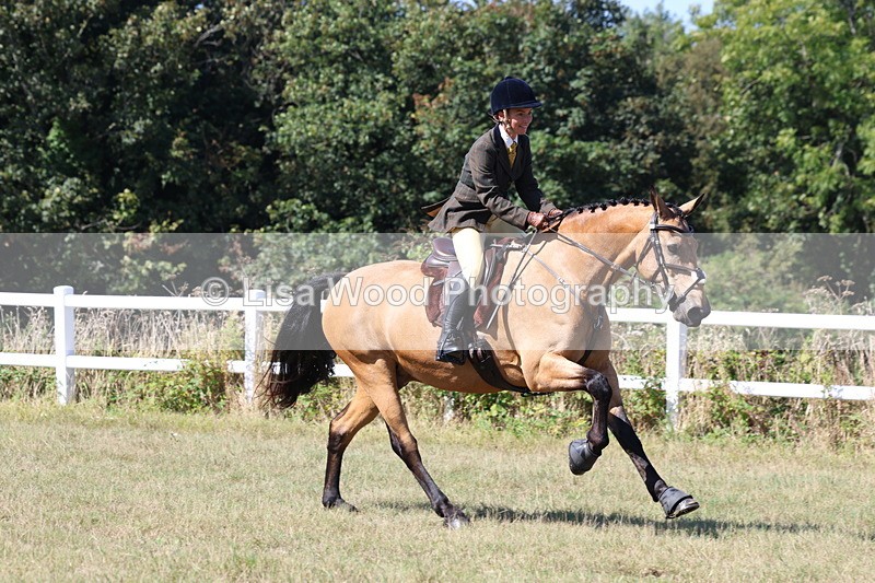 3E7A6272 - Class 6: Working Hunter 1m
