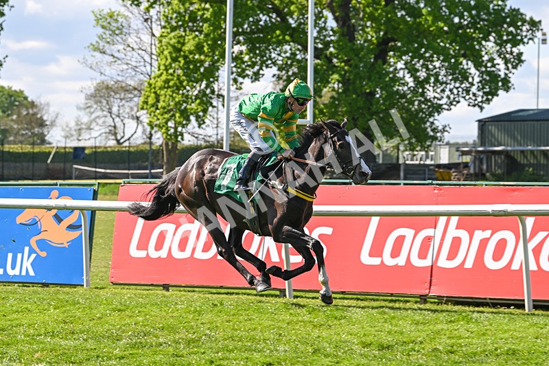 030525-Race 5-Savrola-3246 - Race 5