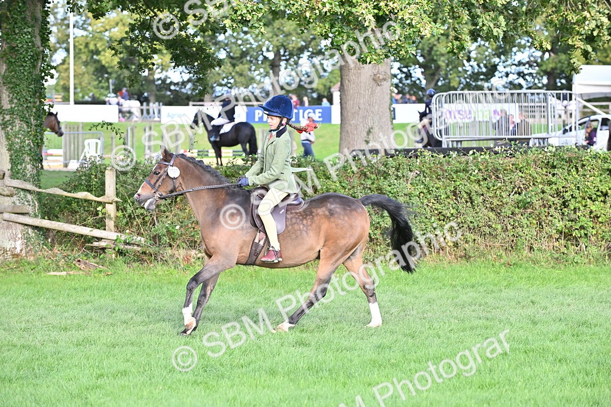 SBM_51244 - S22 - First Ridden Show & Show Hunter Pony