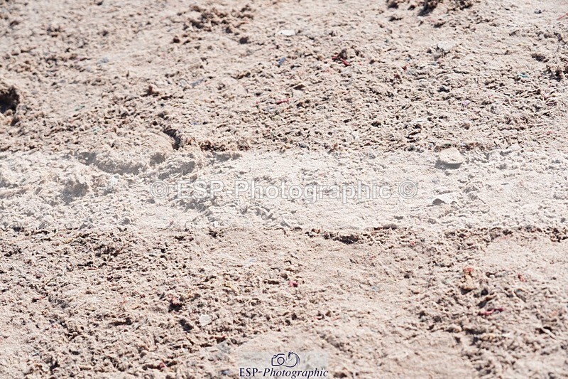 250427-095310-15407 - Cls 16 - 1 Star Bronze Tour