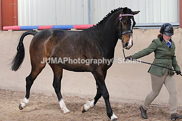 SIAL9913 - Indoor Classes