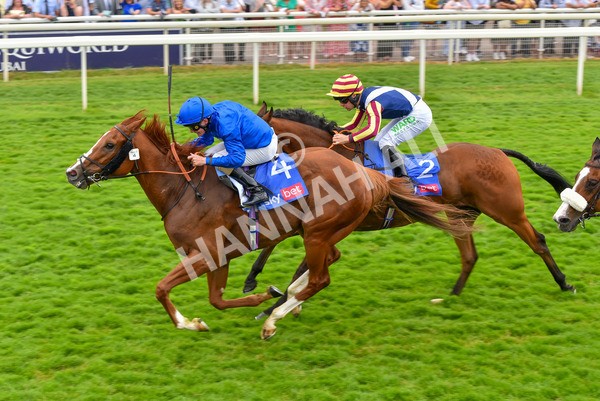 170623-Race 2-Wild Lion-7005 - Race 2 2.35pm Sky Bet Handicap