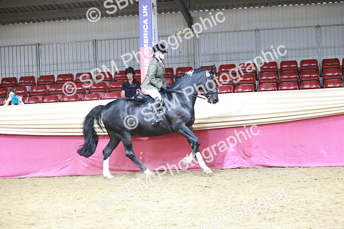 SBM_08772 - Class 12R - Regional Ridden Pre-Vet