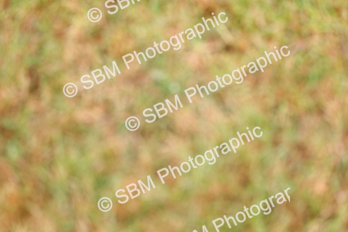 SBM_02680 - Class 9-11 Side Saddle including LIHS Rising Star Ladies Show Horse