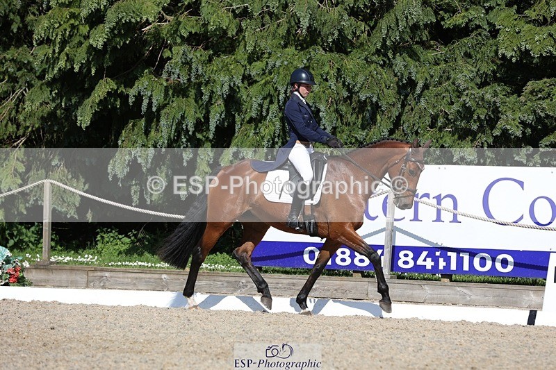 230526-162349-07811 - 171-SLANEYSIDE_COOLEY-Lara_Chapple-WEDTrotUp+DR