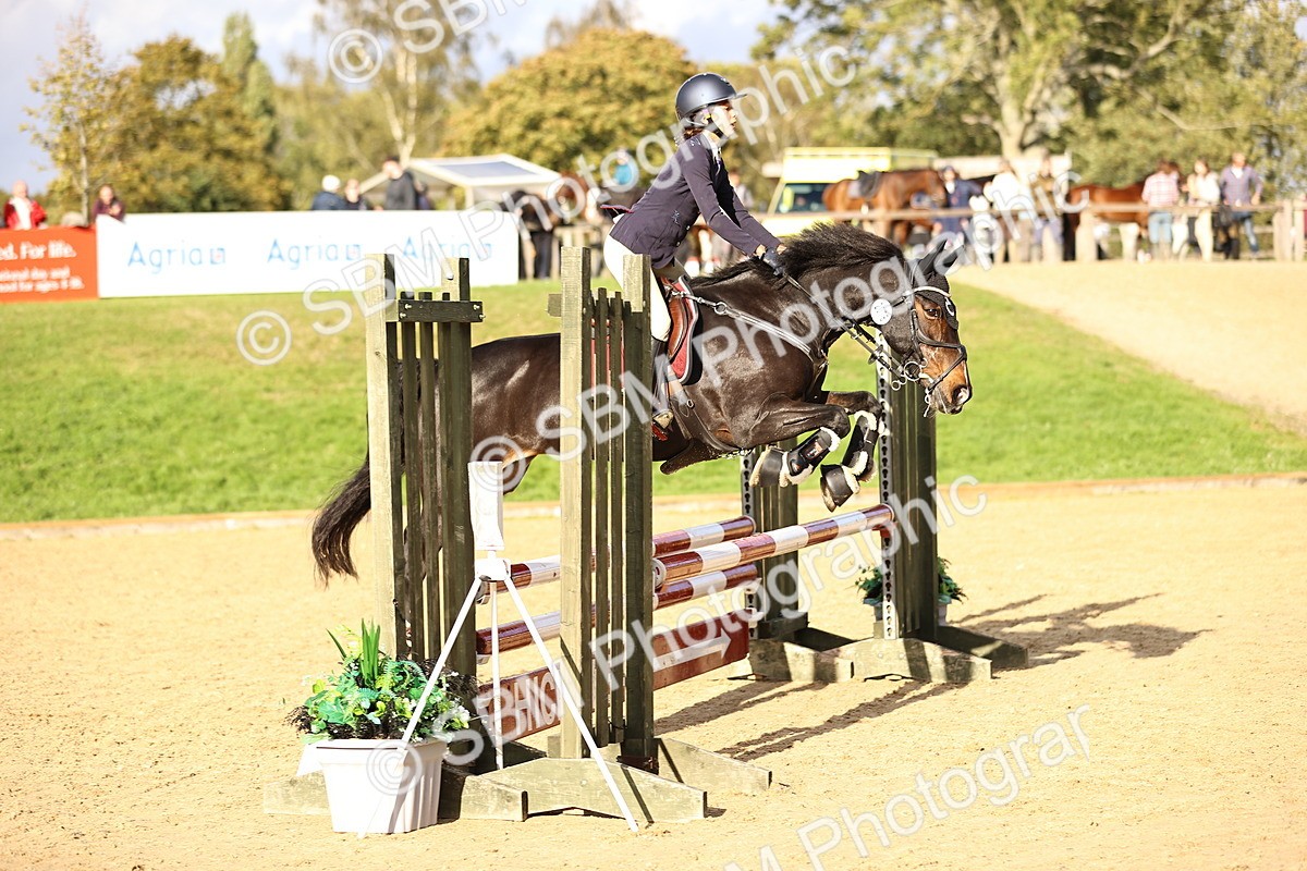 SBM_51781 - J10 - Junior Pony 75cm Championship