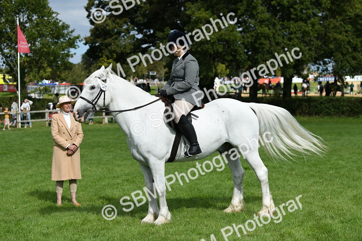 SBM_46898 - S12 - Family Horse & Pony