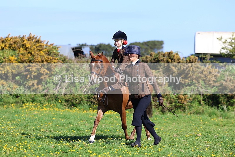 3E7A8806 - Class 2: Lead rein