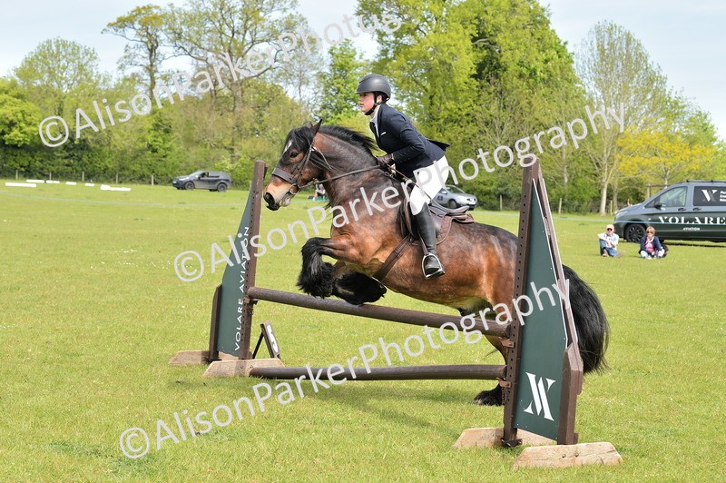20260426-2375 - Class 21 - Working Hunter Ponies