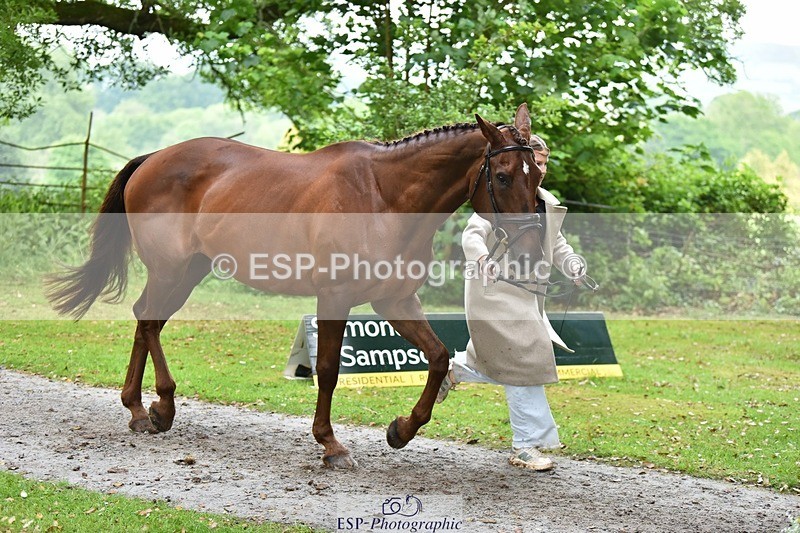 240522-172404-01578 - 279-MHF_LADY-Poppy_von_Maltzahn