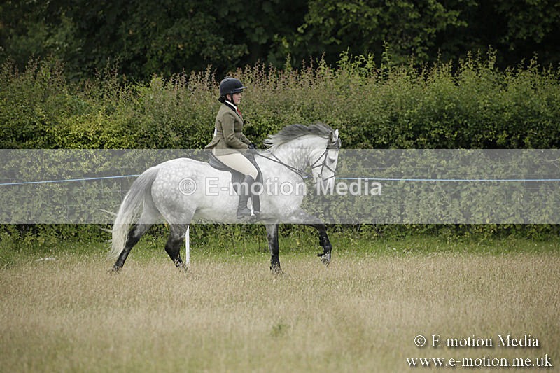 B230619-0136 - Bourne Valley Riding Club Summer Show 23/06/19