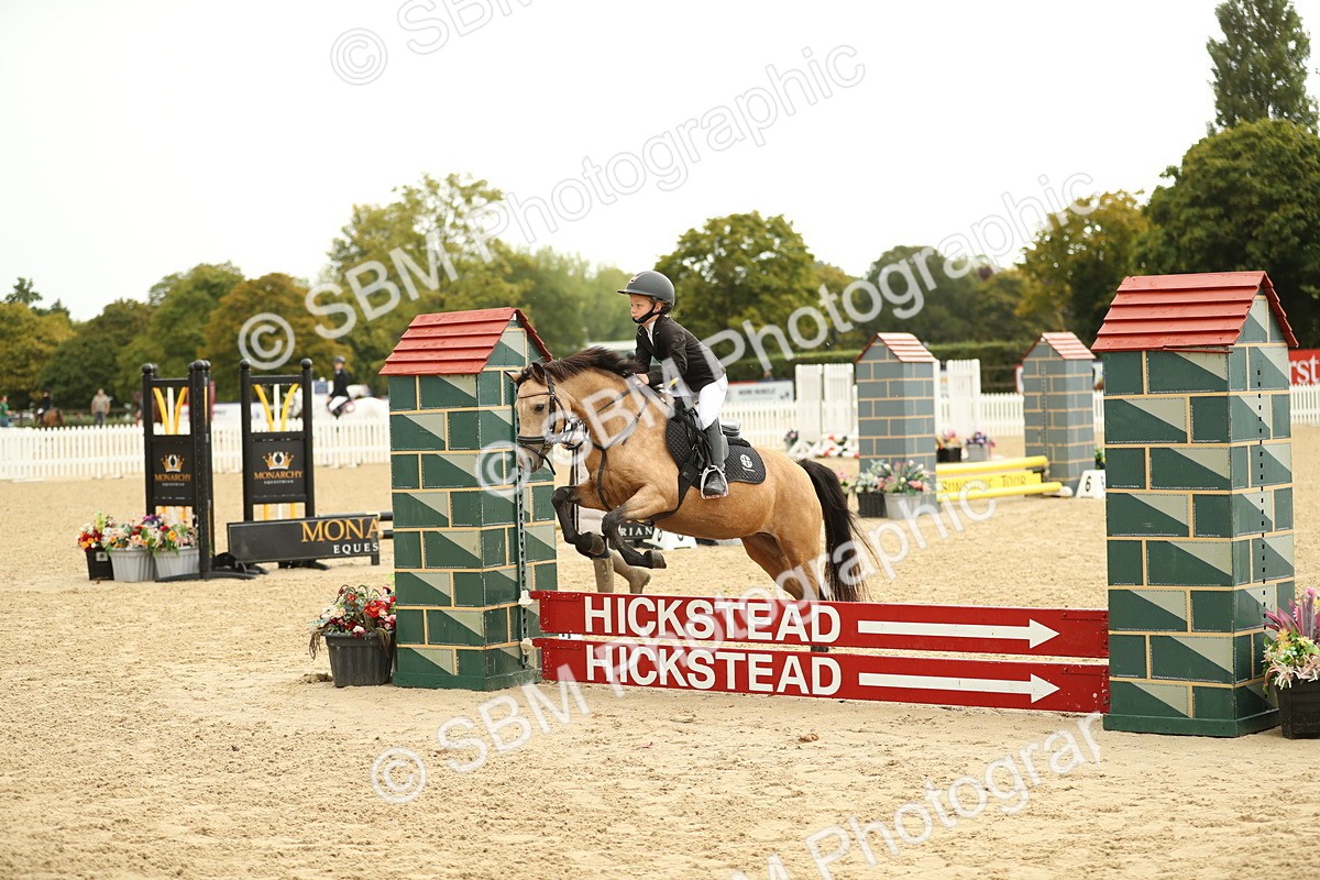 SBM_34267 - J60 Clear Round 50cm