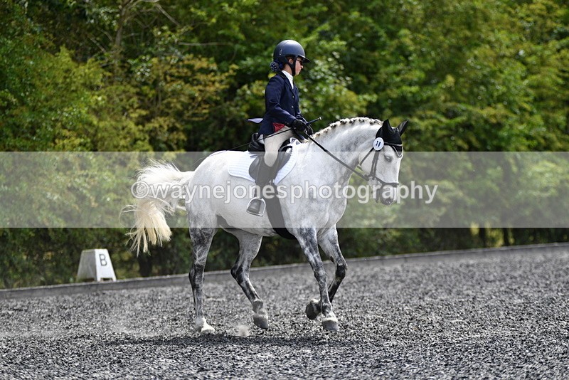 WJ5_1171 - Time 13:45 to 14:20