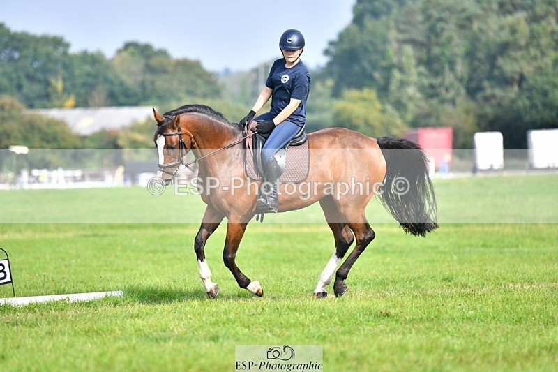 230817-093359-02591 - Abbie's 1st Group - Dressage