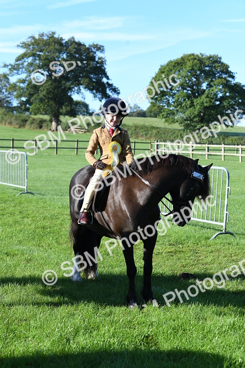 SBM_34131 - S16 - Condition & Turnout - Ridden