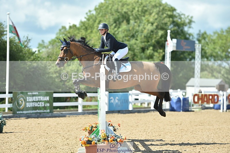 230723A-155112-13202 - Cls 16, 1 Star Bronze 1.15m