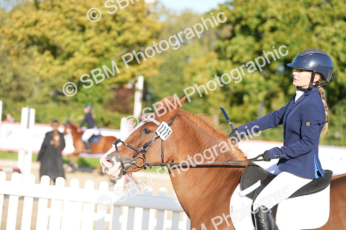 SBM_53865 - J8 - Junior Pony 65cm Championship