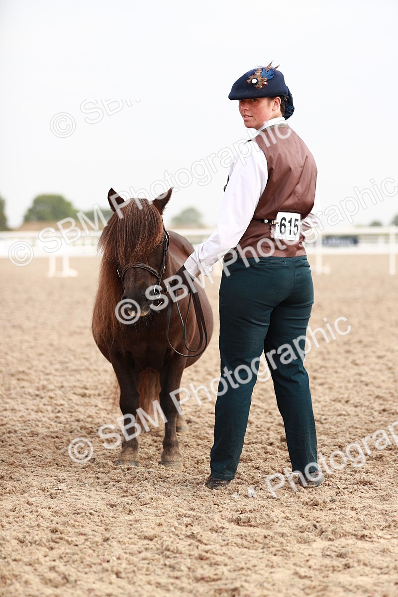 SBM_09547 - Class 201 Best Turned Out IH