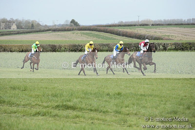 PtP 230319 31 - VWH Hunt Siddington Point-to-Point Racing 23/03/19