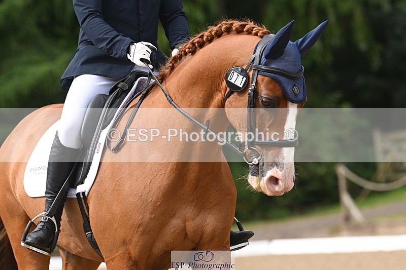 250720A-101202-09444 - 071-Jesse.Poyntz-Wright-Knockaderry.Jack