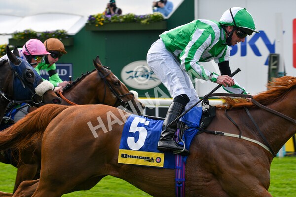 yr12052021r2-39 - Race 2 2.10pm Churchill Tyres Stakes
