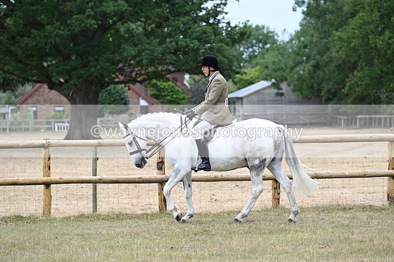 WJ7_0782 - Class 7 Riding Club Show Horse