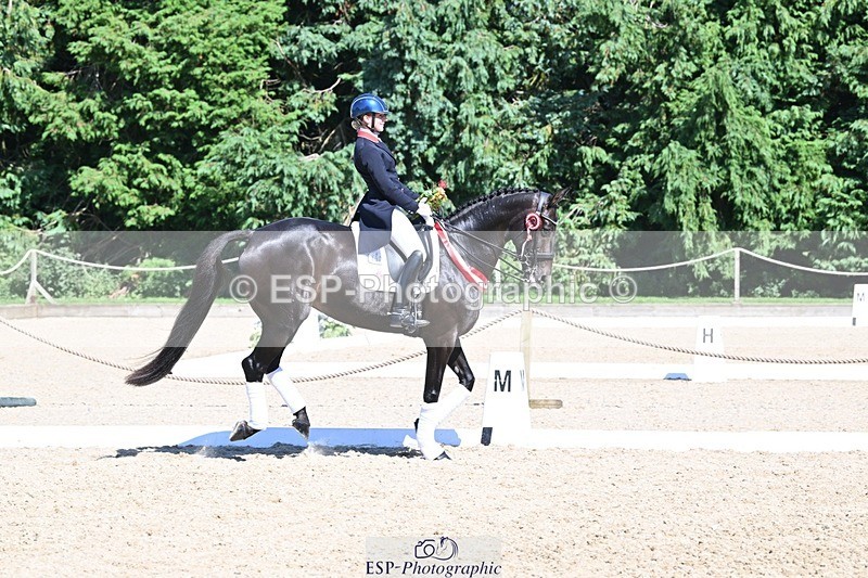 240811-154100-06769 - Inter I Gold