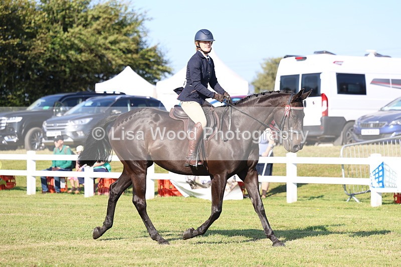 3E7A5257 - Class 2: Rising Star Large Hack/Riding Horse