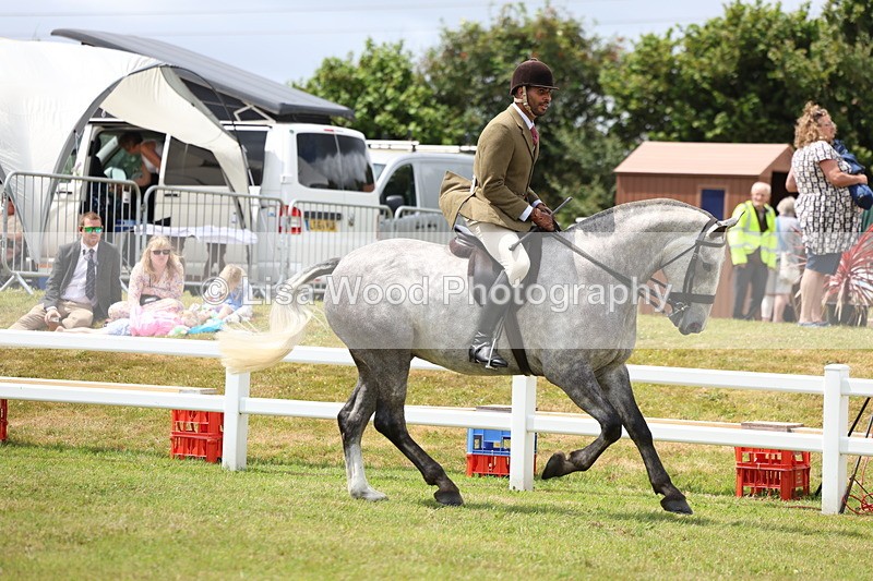 3E7A1951 - Class 10: Open Cob