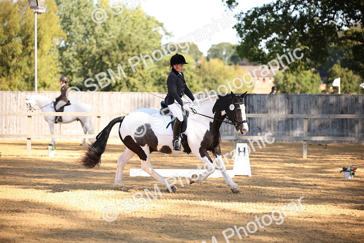 SBM_18469 - D31 - Grand Tour - PYO Open