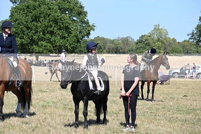 WJ6_8502 - Class 37a Best Loan Pony Ridden