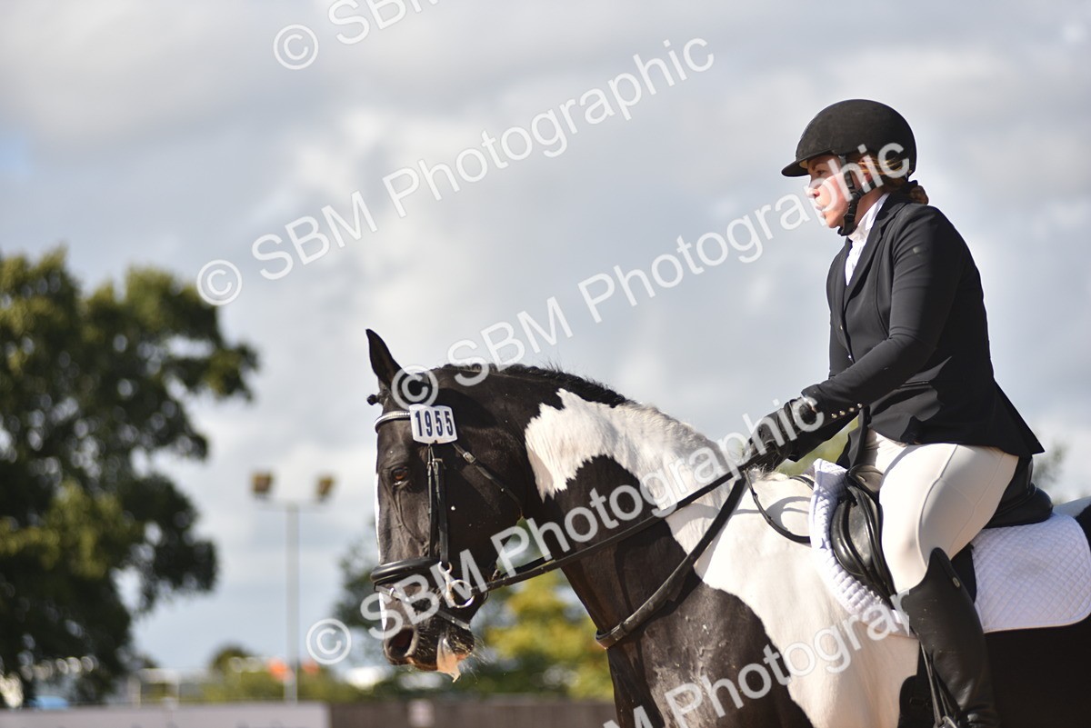 SBM_24321 - D4 - Small Tour Championship Intro 4
