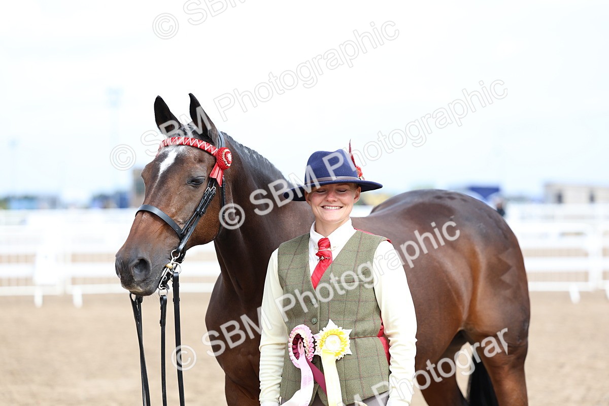 SBM_01534 - Class 17 - Prettiest Mare