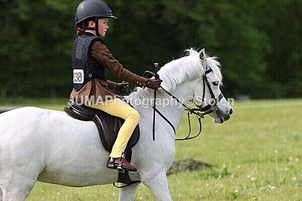 IMG_2371 - Working Hunter