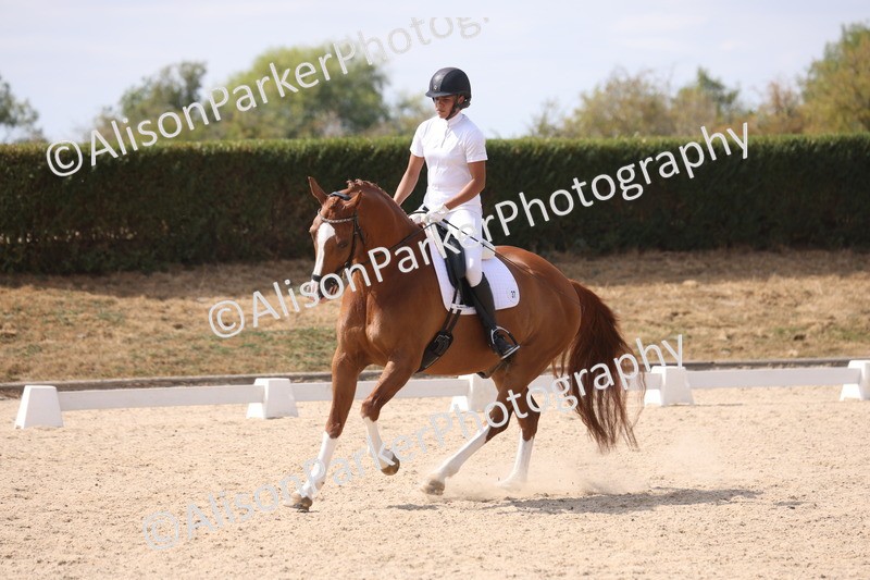 20260815-0992 - Class 5 - Novice 1