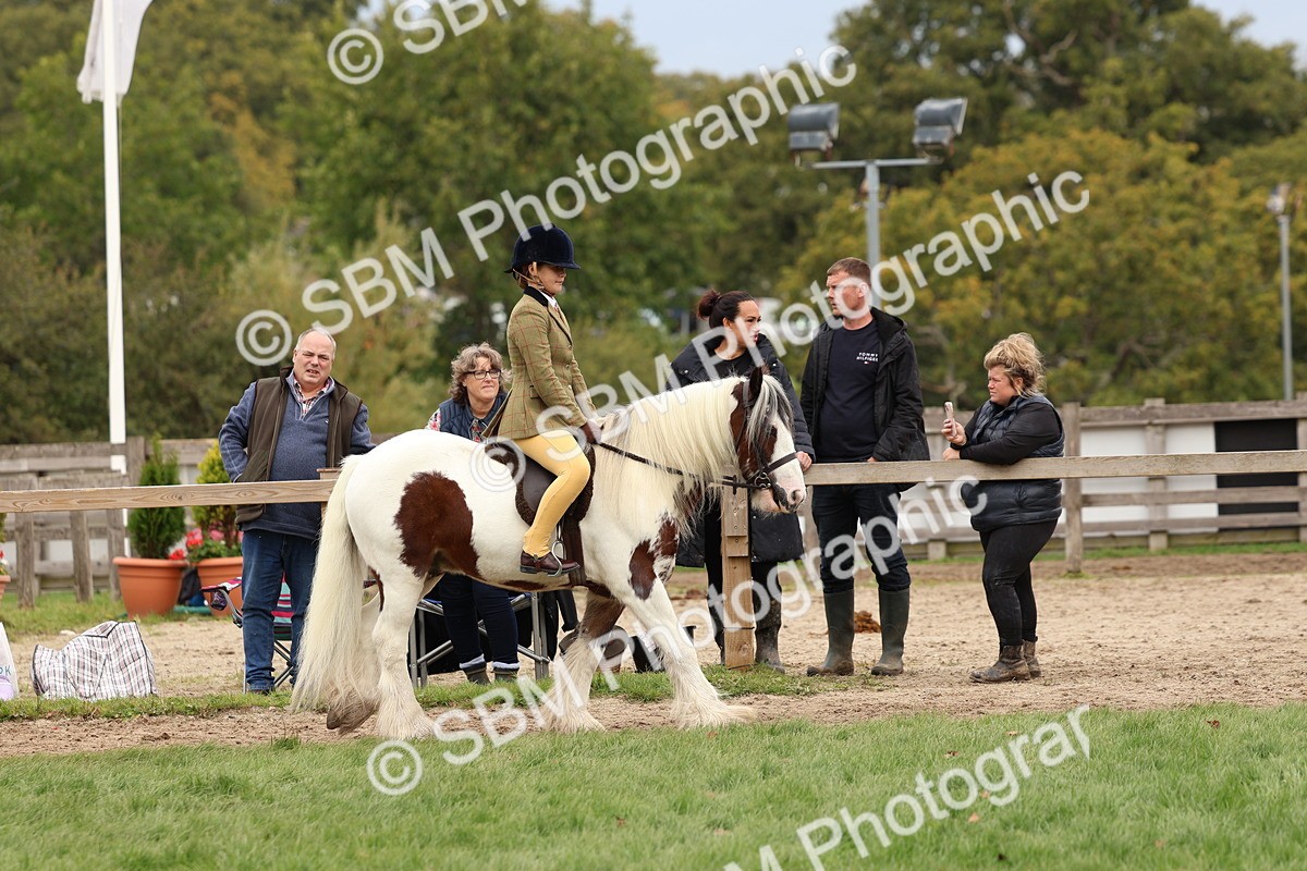 SBM_64393 - S58 - Coloured Pony Ridden