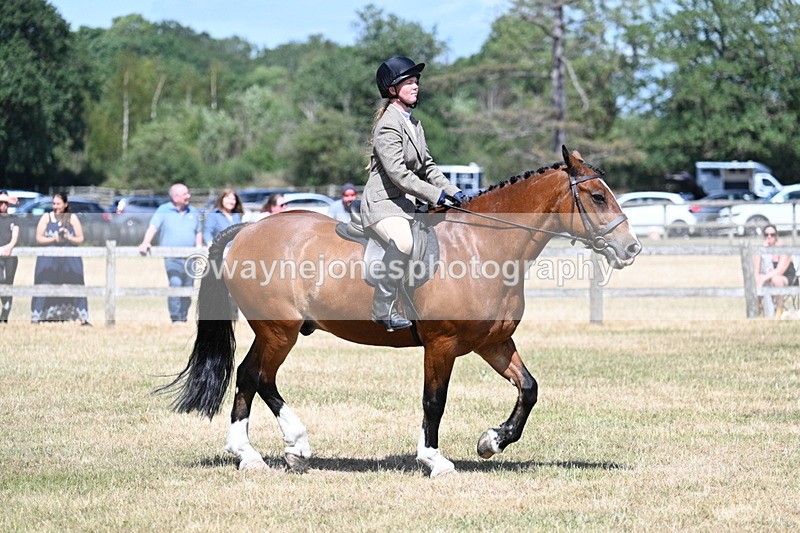 WJ7_3478 - Class 8 Ridden Veterans