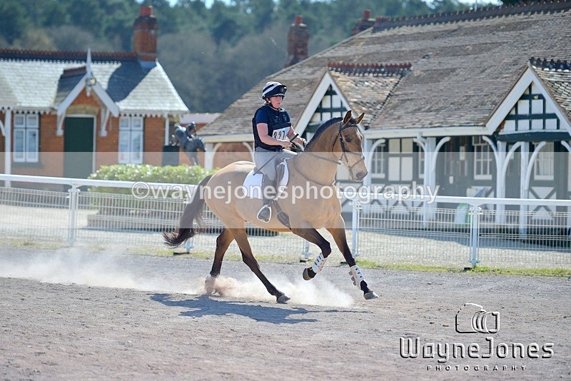 NGP_8670 - Edited examples..