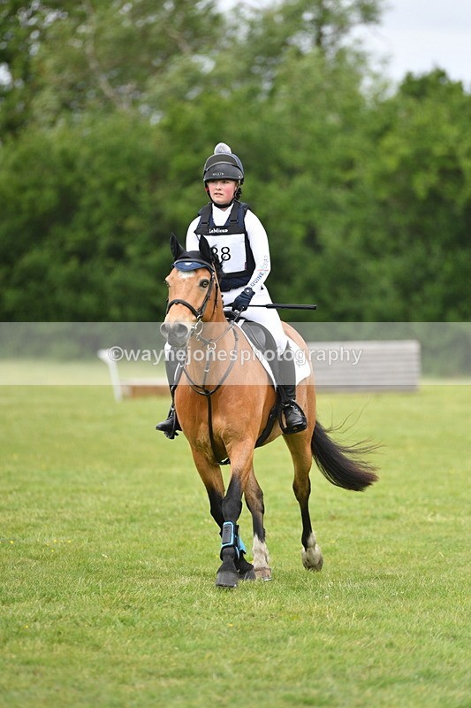 WJ5_3698 - Class 6 80cm