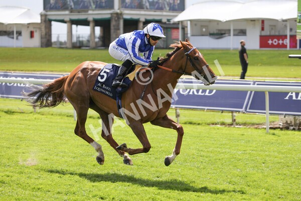 yr13052021r2-11 - Race 2 2.10pm Al Basti Equiworld Dubai Middleton Fillies' Stakes
