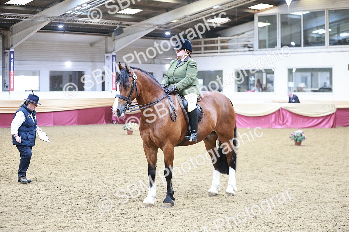 SBM_08933 - Class 12R - Regional Ridden Pre-Vet