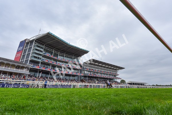 230825-Race 4-Ethical Diamond-9867 - Race 4 3.35pm Sky Bet Ebor Handicap