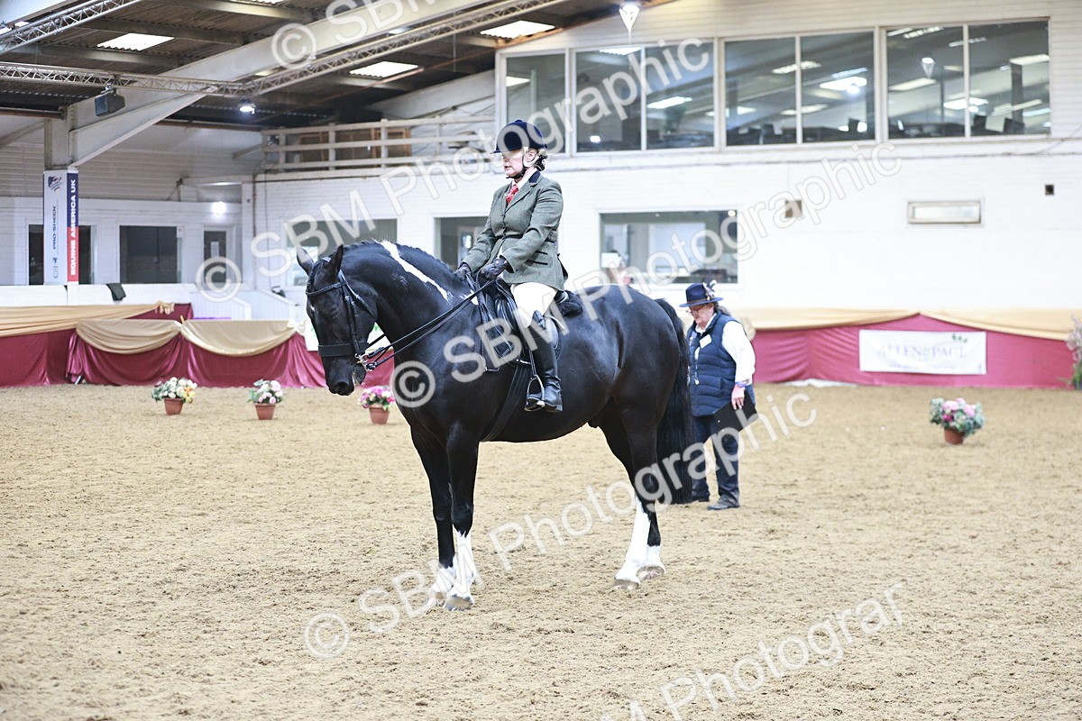 SBM_08966 - Class 12R - Regional Ridden Pre-Vet