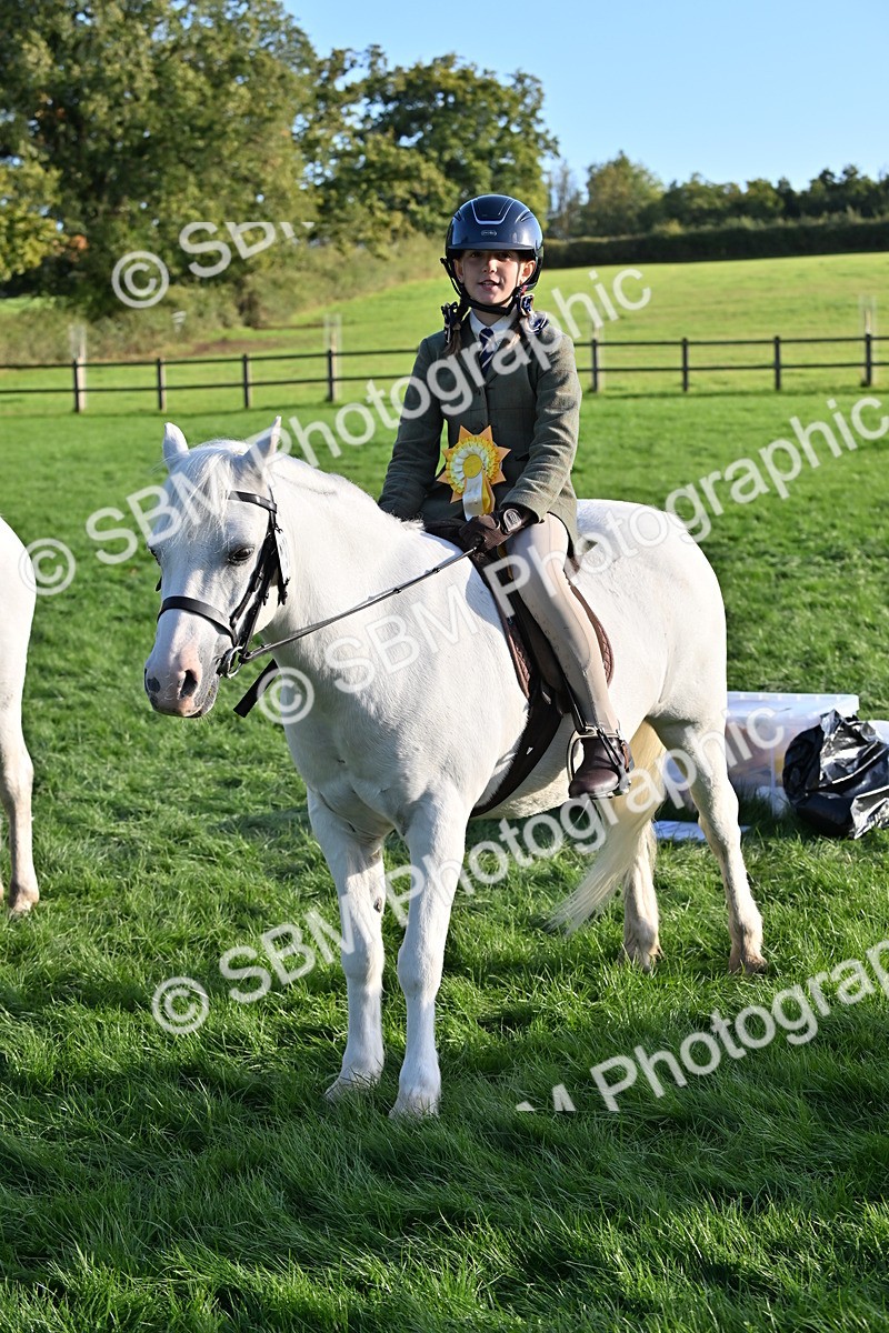 SBM_53078 - S23 - First Ridden Mountain & Moorland Pony