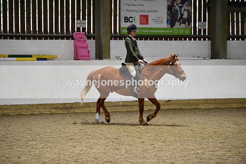 WJ5_8515 - Class 14 Novice Ridden/Rider