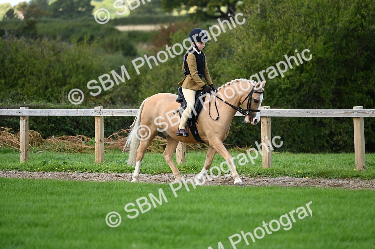 SBM_02561 - S3 - TSR Ridden Pony Showing