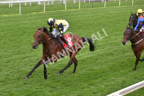 yr14052021r3-24 - Race 3 2.40pm The Matchbook Best Value Exchange Stakes