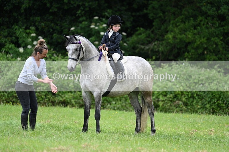 WJ7_4262 - Class 14A Handsome Gelding