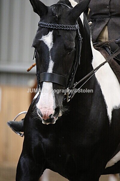 SIAL3076 - Sunday 14th Ridden